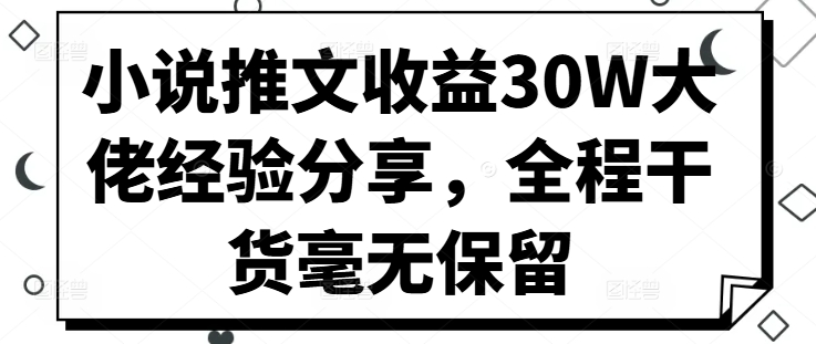 小说推文收益30W大佬经验分享，全程干货毫无保留 - 小毅网创-小毅网创