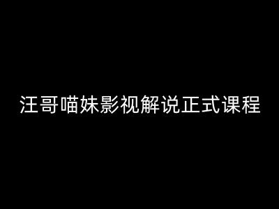 汪哥影视解说正式课程：剪映/PR教学/视解说剪辑5大黄金法则/全流程剪辑7把利器等等 - 小毅网创-小毅网创