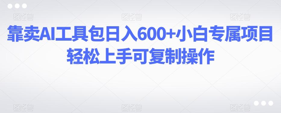 靠卖AI工具包日入600+小白专属项目轻松上手可复制操作 - 小毅网创-小毅网创