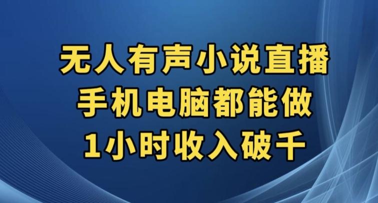 抖音无人有声小说直播，手机电脑都能做，1小时收入破千【揭秘】 - 小毅网创-小毅网创