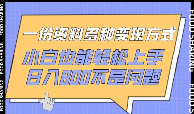 一份资料多种变现方式，小白也能轻松上手，日入800不是问题【揭秘】 - 小毅网创-小毅网创