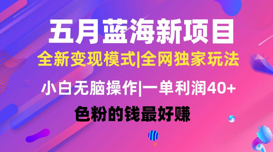 五月蓝海项目全新玩法，小白无脑操作，一天几分钟，矩阵操作，月入4万+ - 小毅网创-小毅网创
