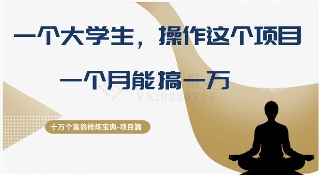 十万个富翁修炼宝典之4.一个大学生操作这个项目，一个月能搞一万 - 小毅网创-小毅网创