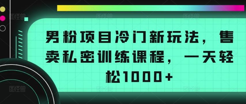 男粉项目冷门新玩法，售卖私密训练课程，一天轻松1000+【揭秘】 - 小毅网创-小毅网创