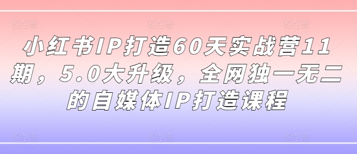 小红书IP打造60天实战营11期，5.0大升级，全网独一无二的自媒体IP打造课程 - 小毅网创-小毅网创