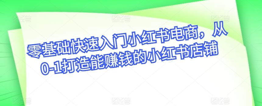零基础快速入门小红书电商，从0-1打造能赚钱的小红书店铺 - 小毅网创-小毅网创