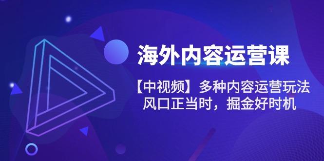 海外内容 运营课【中视频】多种内容运营玩法 风口正当时 掘金好时机-101节 - 小毅网创-小毅网创