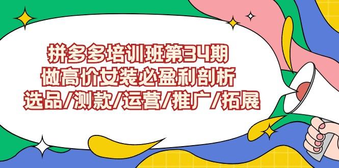 (9333期)拼多多培训班第34期：做高价女装必盈利剖析 选品/测款/运营/推广/拓展 - 小毅网创-小毅网创