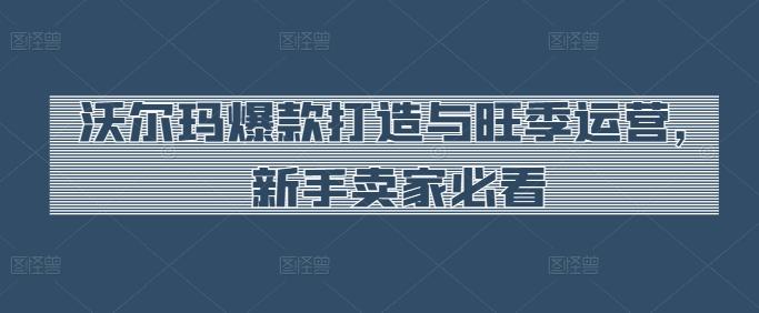 沃尔玛爆款打造与旺季运营，新手卖家必看 - 小毅网创-小毅网创