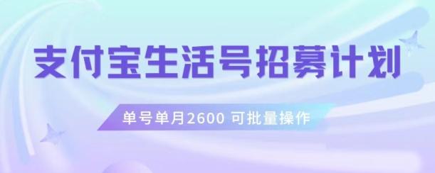 支付宝生活号作者招募计划，单号单月2600，可批量去做，工作室一人一个月轻松1w+【揭秘】 - 小毅网创-小毅网创