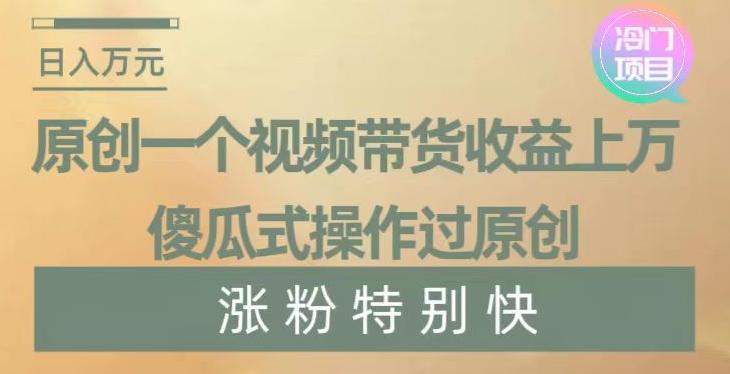 原创一个视频带货收益上万，傻瓜式操作过原创，几分钟做一个视频涨粉特别快【揭秘】 - 小毅网创-小毅网创