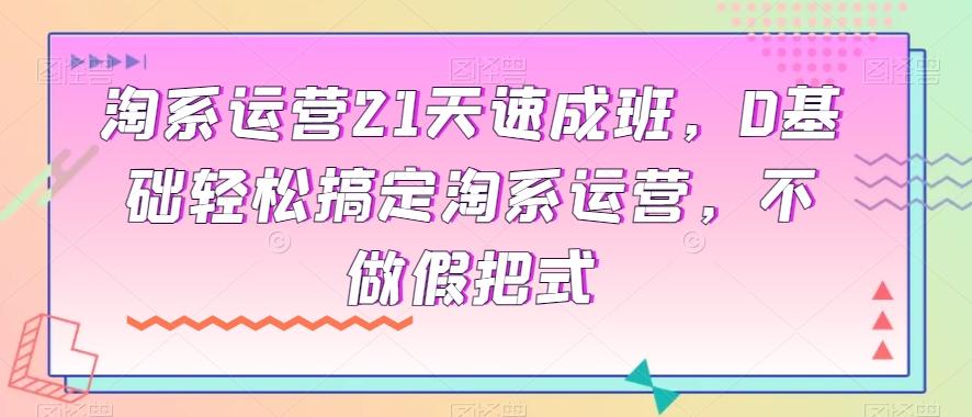 淘系运营21天速成班，0基础轻松搞定淘系运营，不做假把式 - 小毅网创-小毅网创