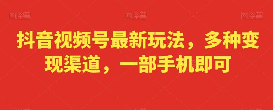 抖音视频号最新玩法，多种变现渠道，一部手机即可 - 小毅网创-小毅网创