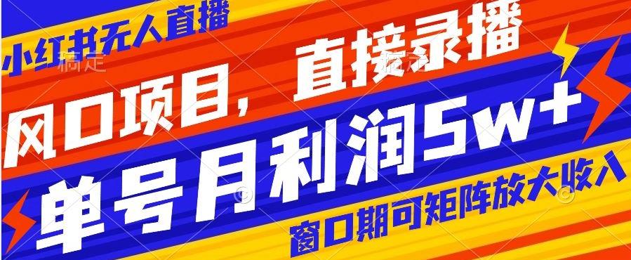 风口项目，小红书无人直播带货，直接录播，可矩阵，月入5w+【揭秘】 - 小毅网创-小毅网创