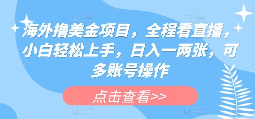 海外撸美金项目，全程看直播，小白轻松上手，日入一两张，可多账号操作【揭秘】 - 小毅网创-小毅网创