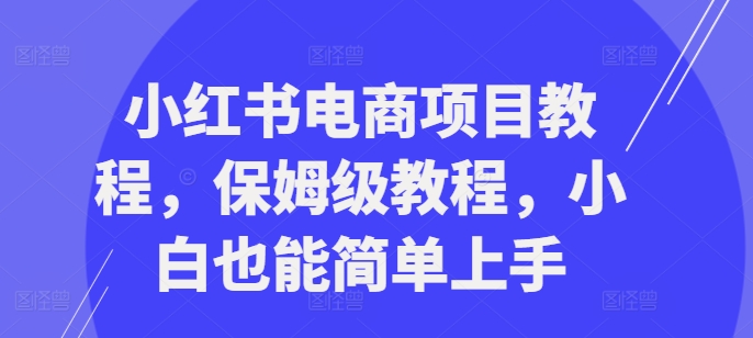 小红书电商项目教程，保姆级教程，小白也能简单上手 - 小毅网创-小毅网创