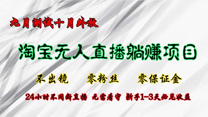淘宝无人直播最新玩法，九月测试十月外放，不出镜零粉丝零保证金，24小... - 小毅网创-小毅网创