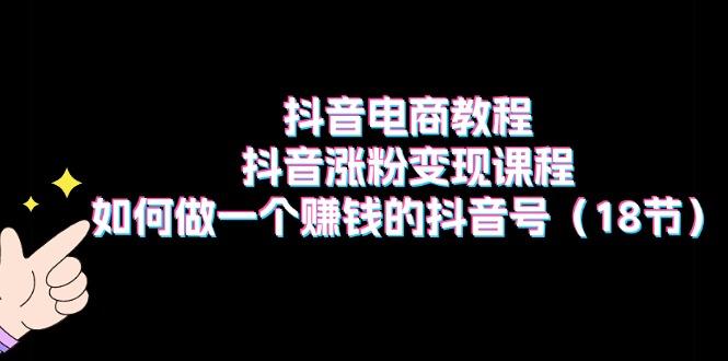 抖音电商教程：抖音涨粉变现课程：如何做一个赚钱的抖音号(18节 - 小毅网创-小毅网创