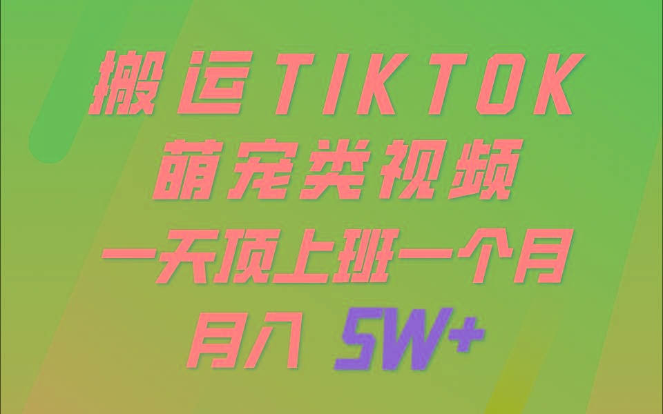 一键搬运TIKTOK萌宠类视频，一部手机即可操作，所有平台均可发布 轻松月入5W+ - 小毅网创-小毅网创