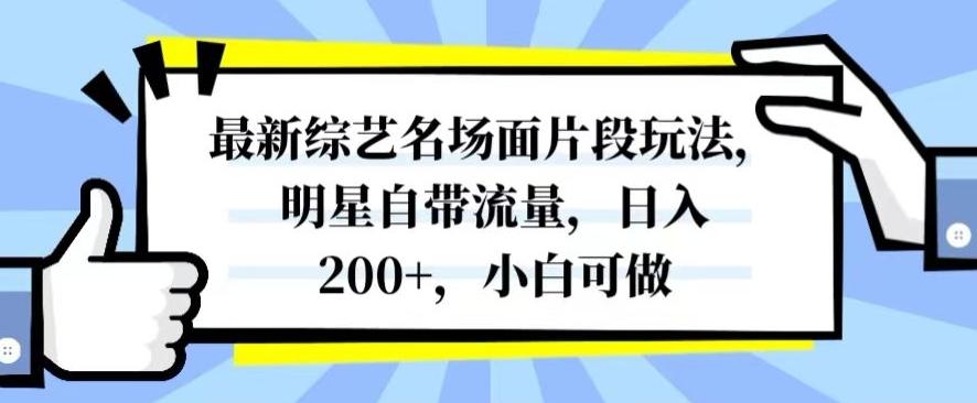 最新综艺名场面片段玩法，明星自带流量，日入200+，小白可做【揭秘】 - 小毅网创-小毅网创