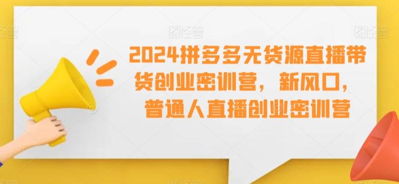 2024拼多多无货源直播带货创业密训营，新风口，普通人直播创业密训营 - 小毅网创-小毅网创