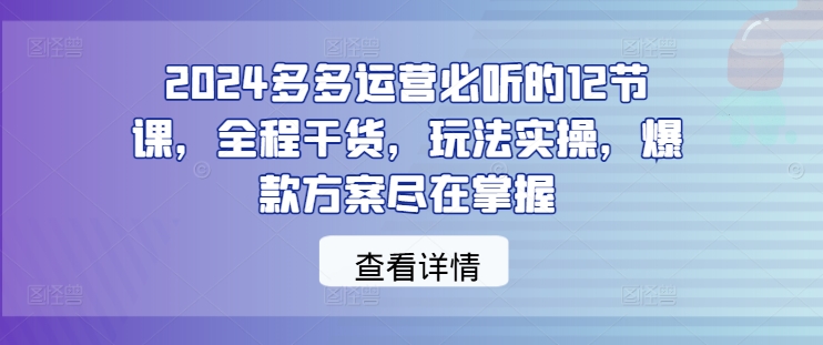 2024多多运营必听的12节课，全程干货，玩法实操，爆款方案尽在掌握 - 小毅网创-小毅网创