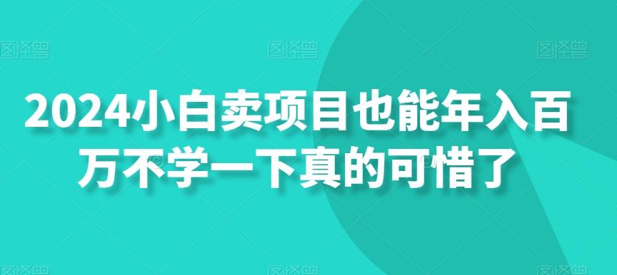 2024小白卖项目也能年入百万不学一下真的可惜了 - 小毅网创-小毅网创