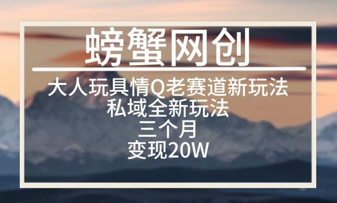 大人玩具情Q用品赛道私域全新玩法，三个月变现20W，老项目新思路【揭秘】 - 小毅网创-小毅网创