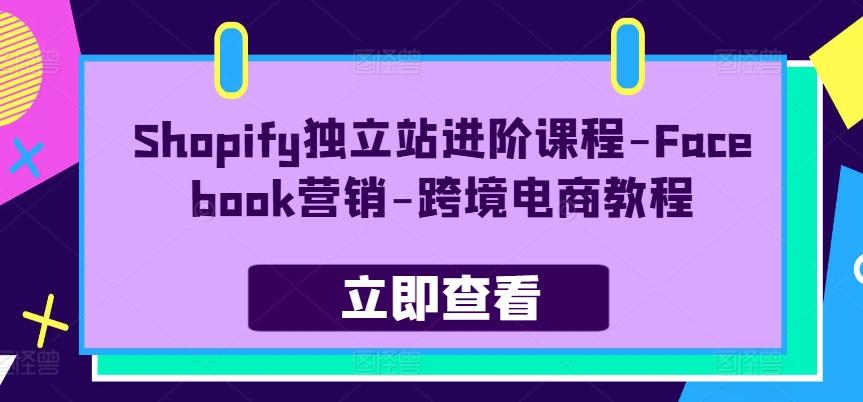 Shopify独立站进阶课程-Facebook营销-跨境电商教程 - 小毅网创-小毅网创