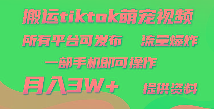 (9618期)搬运Tiktok萌宠类视频，一部手机即可。所有短视频平台均可操作，月入3W+ - 小毅网创-小毅网创