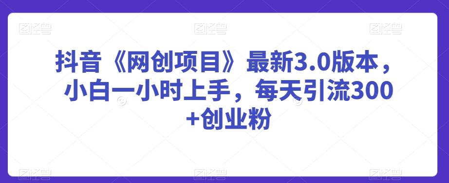 抖音《网创项目》最新3.0版本，小白一小时上手，每天引流300+创业粉【揭秘】 - 小毅网创-小毅网创