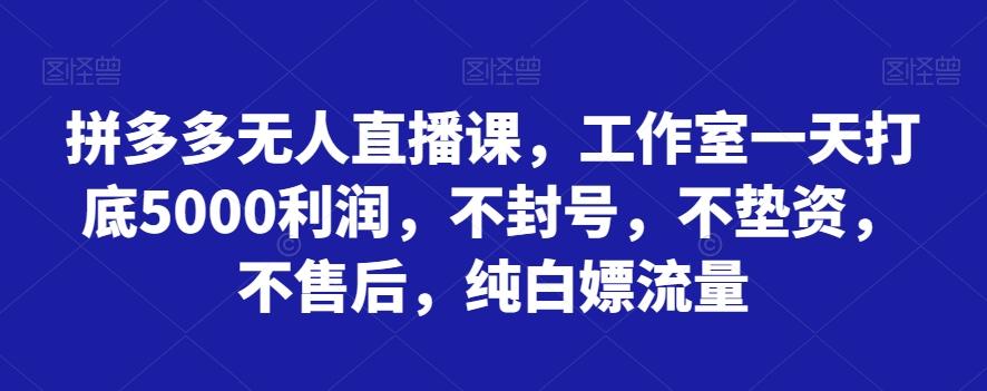 拼多多无人直播课，工作室一天打底5000利润，不封号，不垫资，不售后，纯白嫖流量 - 小毅网创-小毅网创