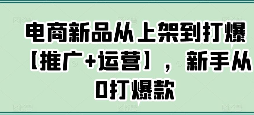 电商新品从上架到打爆【推广+运营】，新手从0打爆款 - 小毅网创-小毅网创