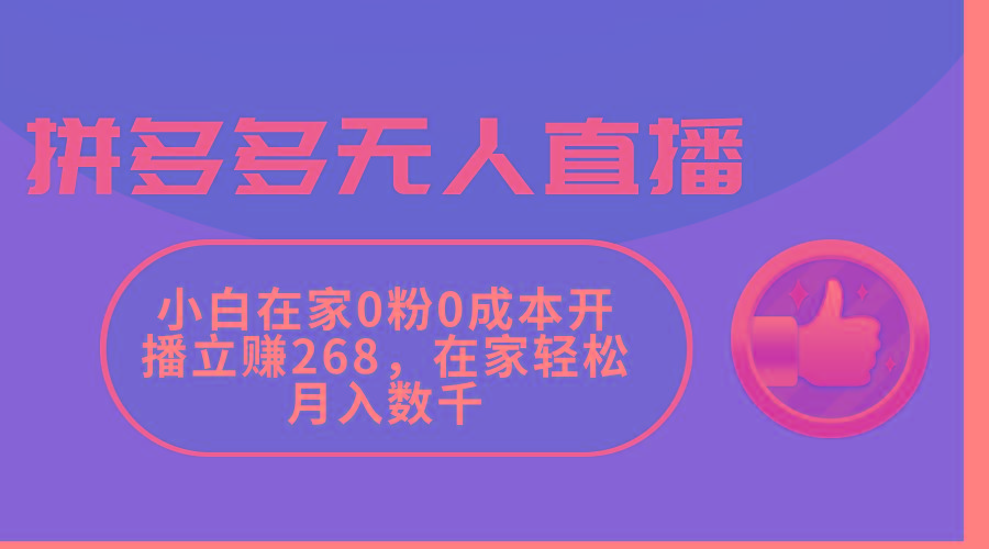 拼多多无人直播，小白在家0粉0成本开播立赚268，在家轻松月入数千 - 小毅网创-小毅网创