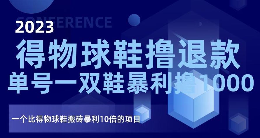 2023得物球鞋撸退款，单号一双鞋暴利撸1000，一个比得物球鞋搬砖暴利10倍的项目【揭秘】 - 小毅网创-小毅网创