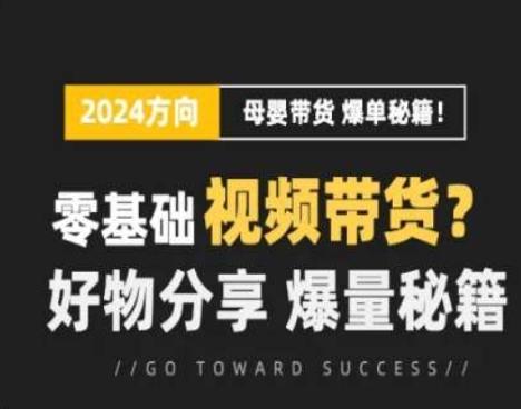 短视频母婴赛道实操流量训练营，零基础视频带货，好物分享，爆量秘籍 - 小毅网创-小毅网创