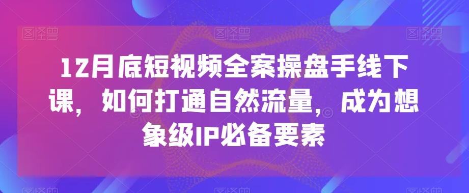 12月底短视频全案操盘手线下课，如何打通自然流量，成为想象级IP必备要素 - 小毅网创-小毅网创