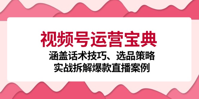 视频号运营宝典：涵盖话术技巧、选品策略、实战拆解爆款直播案例 - 小毅网创-小毅网创