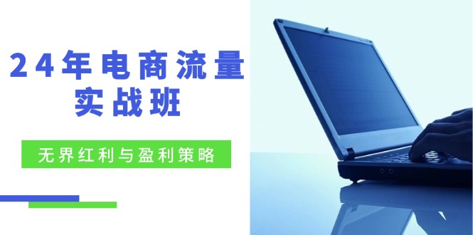 24年电商流量实战班：无界 红利与盈利策略，终极提升/关键词优化/精准... - 小毅网创-小毅网创
