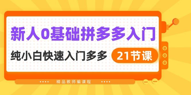 新人0基础拼多多入门，​纯小白快速入门多多(21节课 - 小毅网创-小毅网创