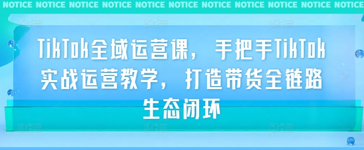 TikTok全域运营课，手把手TikTok实战运营教学，打造带货全链路生态闭环 - 小毅网创-小毅网创