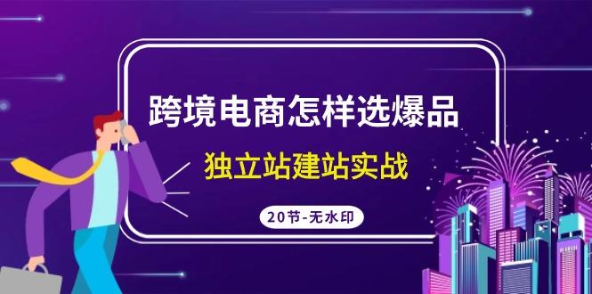 (9369期)跨境电商怎样选爆品，独立站建站实战(20节高清无水印课) - 小毅网创-小毅网创