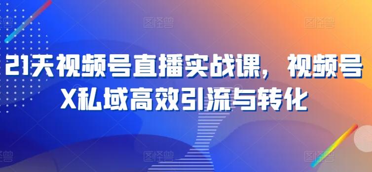21天视频号直播实战课，视频号X私域高效引流与转化 - 小毅网创-小毅网创