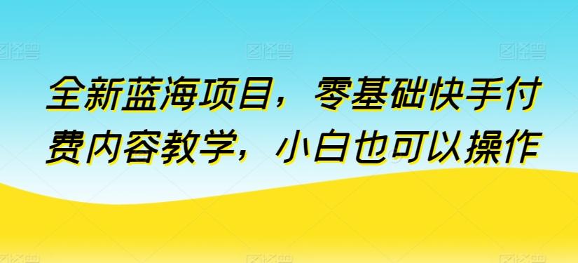 全新蓝海项目，零基础快手付费内容教学，小白也可以操作【揭秘】 - 小毅网创-小毅网创