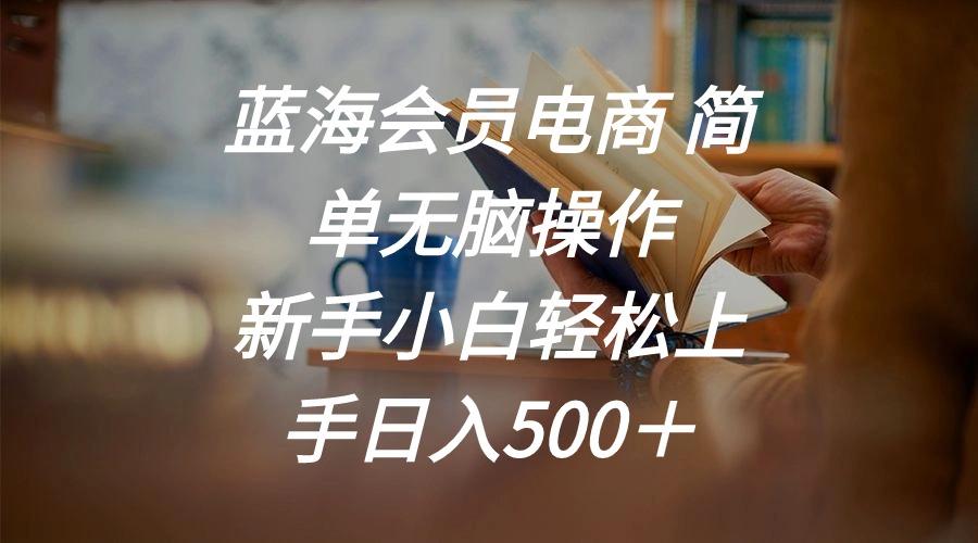 蓝海会员电商 简单无脑操作 新手小白轻松上手日入500＋ - 小毅网创-小毅网创