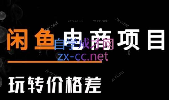 亿创繁星·闲鱼电商项目(玩转价格差) - 小毅网创-小毅网创