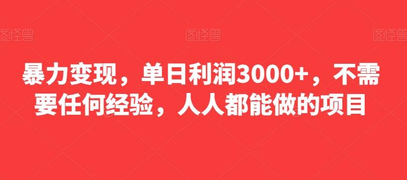 暴力变现，单日利润3000+，不需要任何经验，人人都能做的项目 - 小毅网创-小毅网创