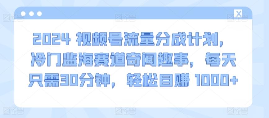 2024视频号流量分成计划，冷门监海赛道奇闻趣事，每天只需30分钟，轻松目赚 1000+【揭秘】 - 小毅网创-小毅网创