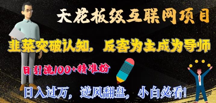 天花板级互联网项目，韭菜突破认知，反客为主成为导师，日引流100+精准粉 - 小毅网创-小毅网创