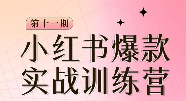 小红书博主爆款训练营第11期，手把手教你从0-1做小红书，从定位到起号到变现 - 小毅网创-小毅网创